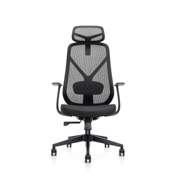 Kalos Mesh Ergonomic Office Chair 